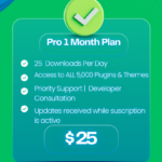Pro 1 Month Plan